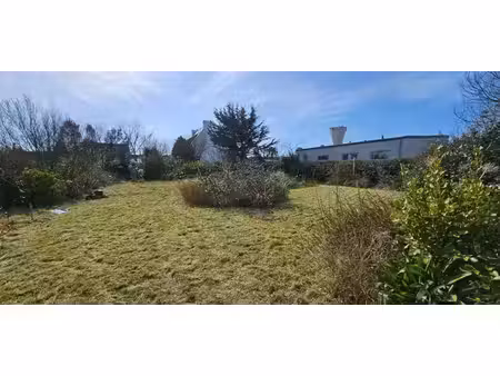 terrain
