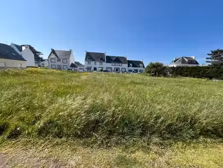 terrain