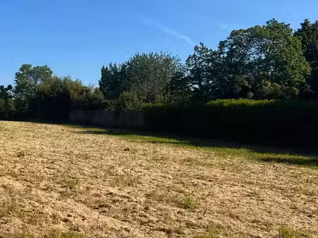 terrain à vendre