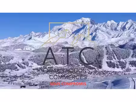 vente locaux professionnels 0 pièces à landry (73210)  480 500 €