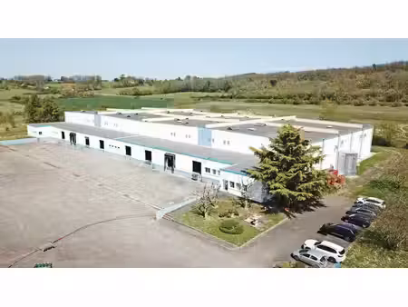 location entrepôt grisolles 82170 6526m²