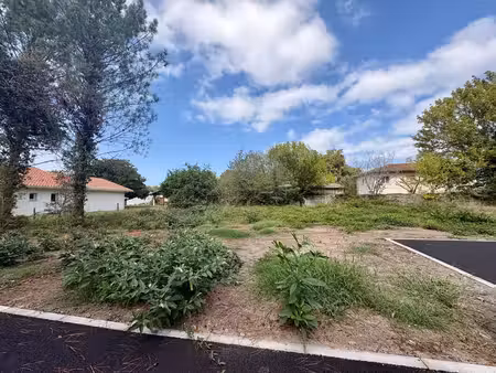 vente maison 661 m² tosse (40230)