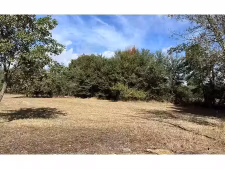 terrain