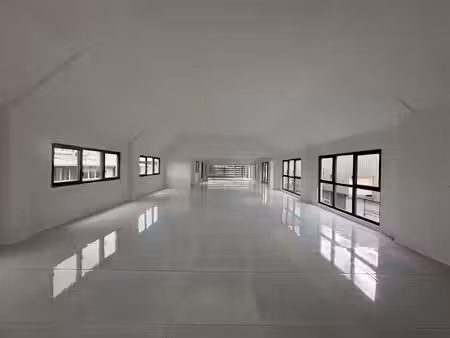 location locaux professionnels 1 pièce 286 m² à baie mahault (97122)  6 864 €
