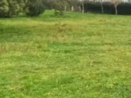 terrain à bâtir à bourg (33710)