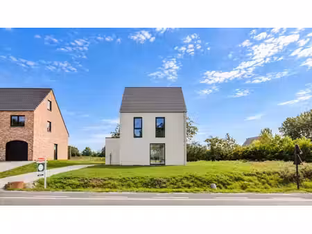 maison neuve à haute efficacité énergétique à nederhasselt