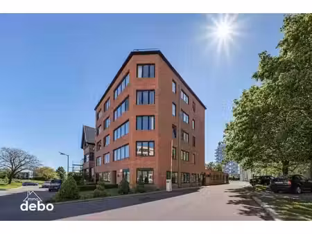 geef jouw zaak een vliegende start in kortrijk
