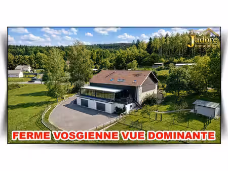 ferme à vendre à anould