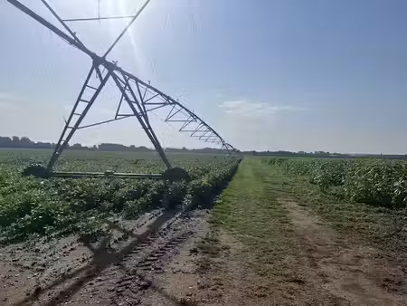 vente ferme 1 pièce à montauban (82000)  1 081 500 €