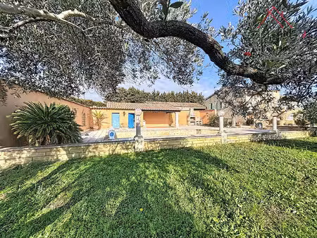 maison sainte cecile les vignes + petite maison indépendante