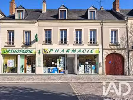 vente immeuble à valençay (36600) : à vendre / 272m² valençay
