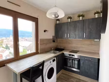 studio remiremont 28 m²