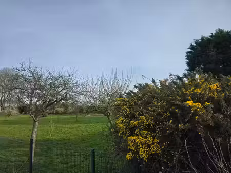 vente terrain 860 m² fécamp (76400)
