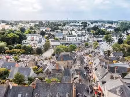 vente terrain à châteaubourg (35220) : à vendre / châteaubourg