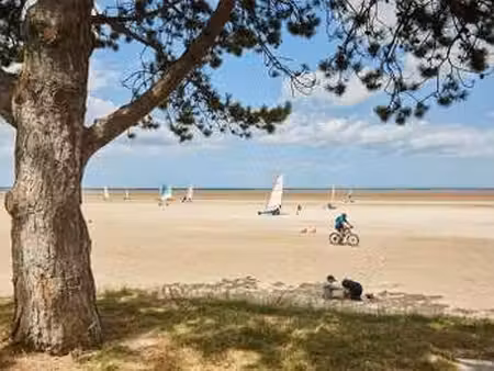 vente terrain à cherrueix (35120) : à vendre / 292m² cherrueix