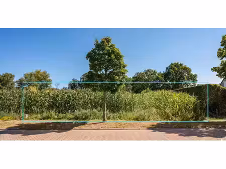 terrain à bâtir à vendre à kalmthout pour € 319.000