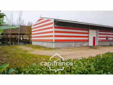 location entrepôt saint-marcel 71380 239m²