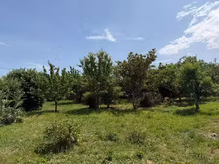 terrain constructible à vendre