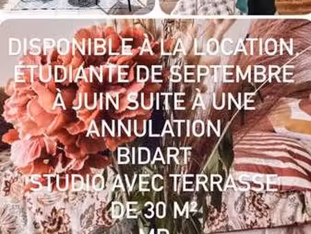 location appartement t1 meublé à bidart (64210) : à louer t1 meublé / 37m² bidart