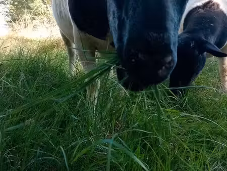 recherche terre agricole