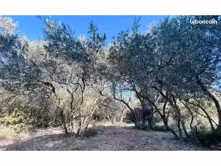 terrain 540 m² jonquerettes