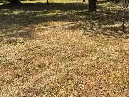 terrain à bâtir
