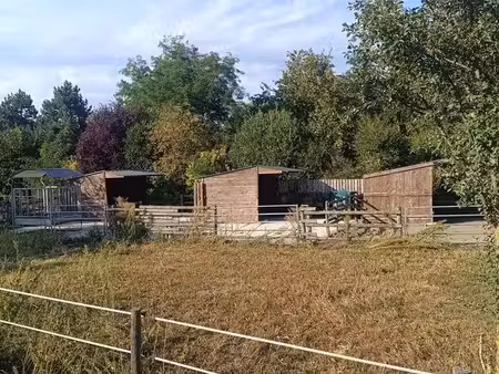 location petite écurie