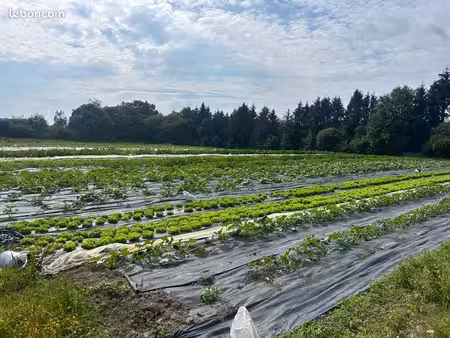 ferme maraîchère maraîchage bio