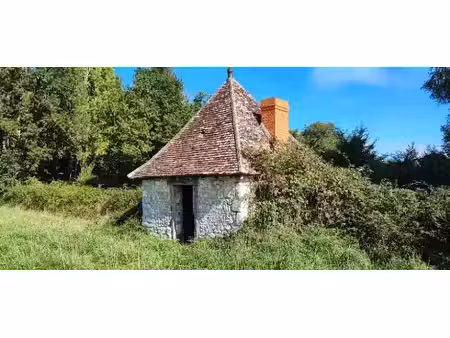 vente terrain 8456 m² à le chatelet (18170)  48 199 €