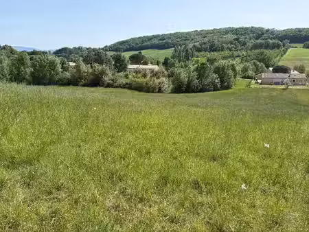 vente terrain 2004 m² à naves (81710)  60 000 €