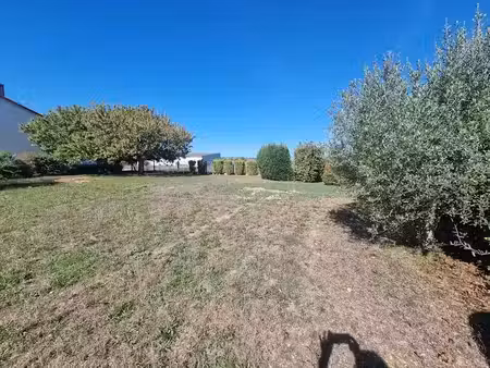 vente terrain 500 m² à balzac (16430)  50 000 €
