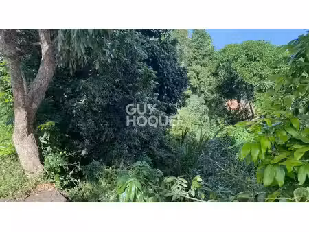 vente terrain 300 m² à entre deux (97414)  69 000 €