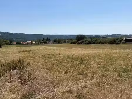 vente terrain 1838 m² à roquecourbe (81210)  55 000 €