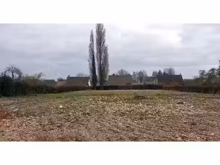 vente terrain 2119 m² à beaucamps-le-vieux (80430)  53 000 €