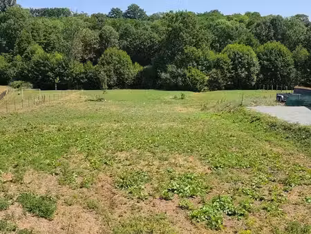 vente terrain 3144 m² à nogent-le-rotrou (28400)  55 900 €