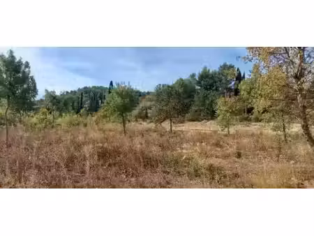 vente terrain 631 m² à azille (11700)  62 000 €