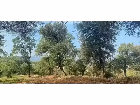vente terrain 341 m² à mondragon (84430)  59 900 €