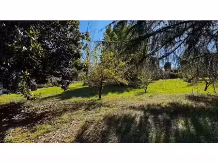 vente terrain 500 m² à salleboeuf (33370)  79 000 €