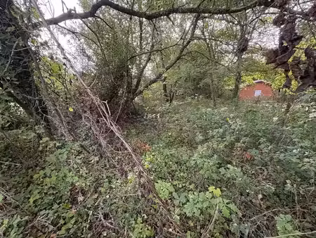 vente terrain 2245 m² à grayan-et-l'hôpital (33590)  127 200 €