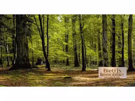 vente terrain à l'isle-adam (95290)  89 000 €