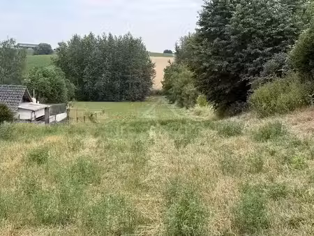 vente terrain 2165 m² à eberbach-seltz (67470)  82 000 €