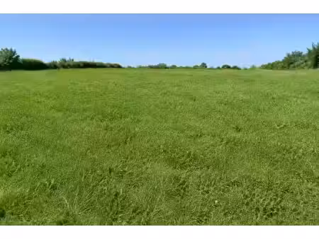 vente terrain 950 m² à fargues (33210)  90 000 €
