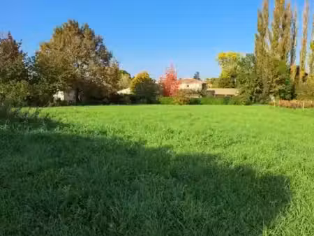 vente terrain 800 m² à saint-denis-de-pile (33910)  88 000 €