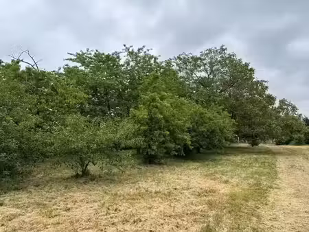 vente terrain 700 m² à sorigny (37250)  90 000 €