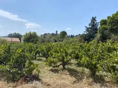 vente terrain 1430 m² à montouliers (34310)  109 000 €