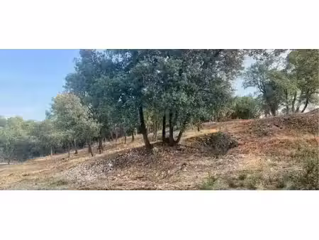 vente terrain 772 m² à mondragon (84430)  139 900 €