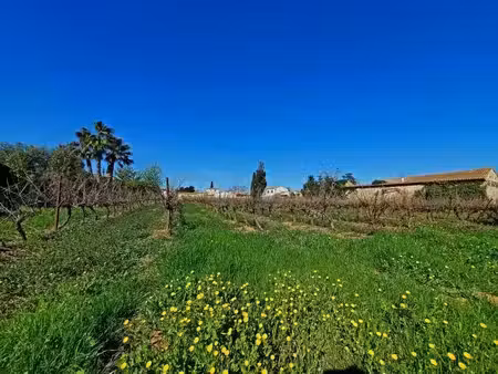 vente terrain 425 m² à pomérols (34810)  157 000 €
