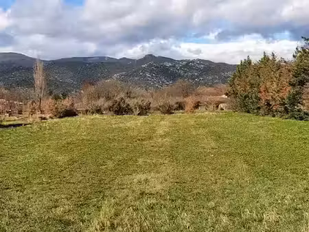 vente terrain 3813 m² à rigarda (66320)  165 000 €