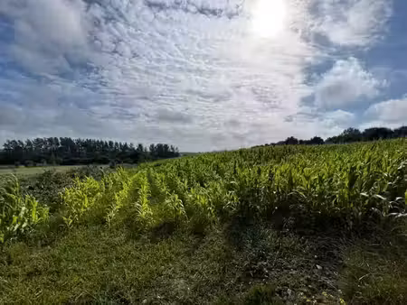 vente terrain 4665 m² à marquise (62250)  234 000 €