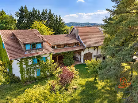 maison de luxe à vendre dans le quartier est